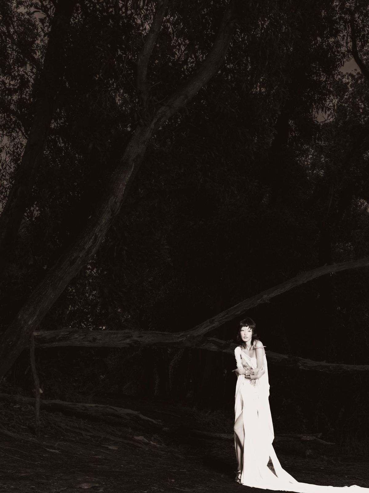 Small figure in white far off among dark trees